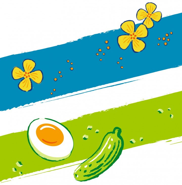 Illustration Senf Tartare