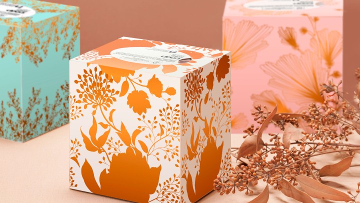 korr dbyd Cupcakes 2 sRGB NEU